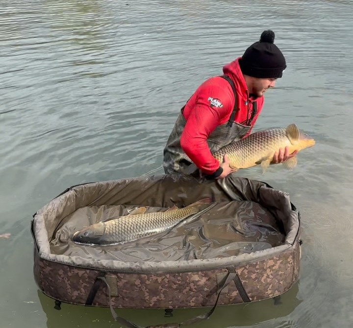 Dinamit Fish banner image