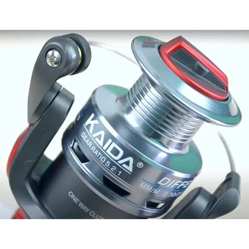 Mulineta Kaida Differ DF