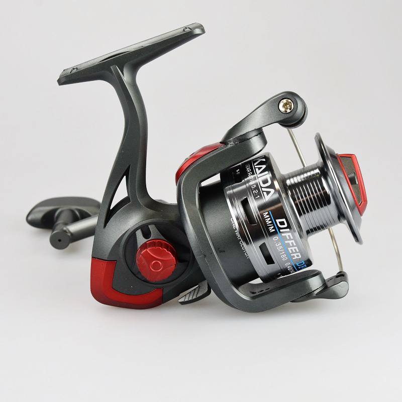 Mulineta Kaida Differ DF