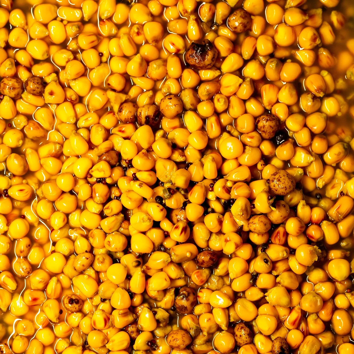 Senzor Planet  MIX Seminte preparate 800g